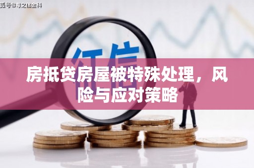 长汀房抵贷房屋被特殊处理，风险与应对策略